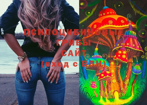 марки lsd Горно-Алтайск
