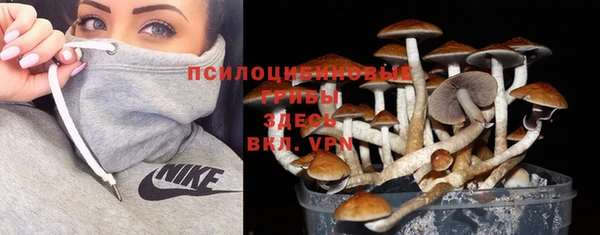герыч Горняк