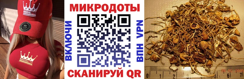 Псилоцибиновые грибы Cubensis  Десногорск 